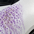 Paint Decontamination